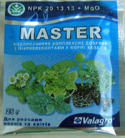 Мастер для рассады 25г