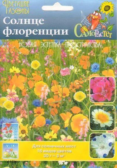 Купить семена газон «Солнце Флоренции» 30г 