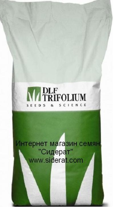 Купить Клевер ползучий белый 25КГ 1мешок 