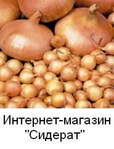 Лук-севок сорт Штутгартен ризент 1 кг