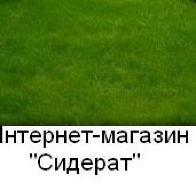 Семена мятлика лугового 1кг (для создания газона)